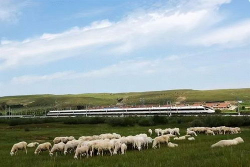 張瀟冉思念的家鄉,到底是個怎樣的地方