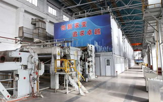 熱點(diǎn) 打好 虧損治理和提質(zhì)增效 攻堅(jiān)戰(zhàn) 銀河紙業(yè)楊木漿二期項(xiàng)目順利開機(jī)投產(chǎn)