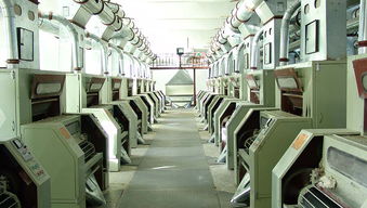 新疆魯泰豐收棉業(yè)有限責任公司