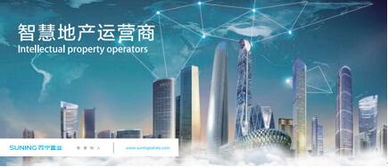 蘇寧置業(yè)集團(tuán)品牌戰(zhàn)略升級(jí)