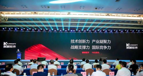 從零到世界矚目 銀河棉業(yè)如何織就中國(guó)紡織傳奇